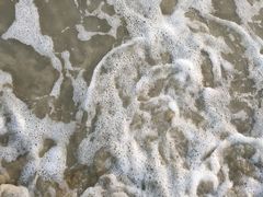 -北海金海湾红树林生态旅游区