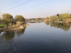-九里河湿地公园