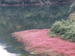 -东白山