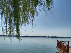 -丁香湖公园