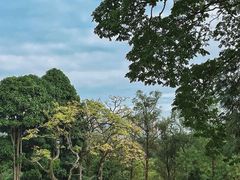 -广西壮族自治区药用植物园