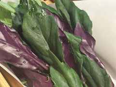 -十二舍·湯物素煮(江泰潤政店)