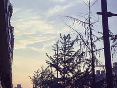 -杭州湖滨in77