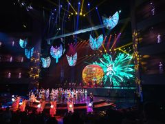 -水秀国际大剧院