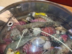 -船梆煮•蒸汽海鲜·炉火烤肉(五四广场店)