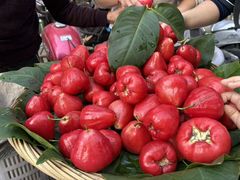 -刘卜卤鹅(全国首店)