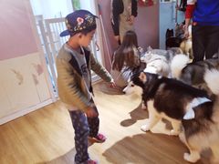 -Husky Go! 哈士奇体验馆·宠物咖啡厅狗咖