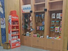 -瑞派名望志远动物医院·猫科·內科·异宠专科(直港大道店)