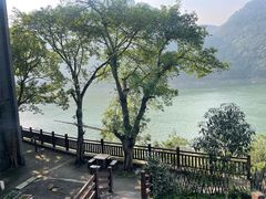 -铁山坪森林公园