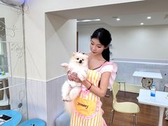 -汪说·狗咖·拼豆·宠物周边DIY(旺城大厦店)