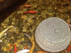 -颐和•海鲜砂锅粥•啫啫煲(奥林匹克广场店)