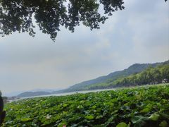 -西湖游船