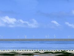 -南汇嘴观海公园