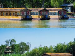 -泗洪洪泽湖湿地景区