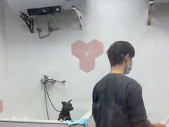 -瑞鹏宠物医院·普外科·影像科·皮肤科(城市山谷分院)