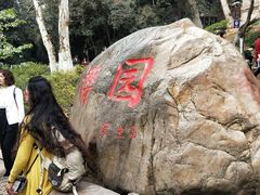 -武汉大学-樱园