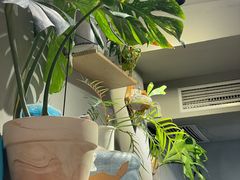 -如果·追梦手工皮具DIY教学店(田子坊店)