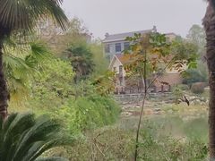 -咸宁万豪温泉谷度假区