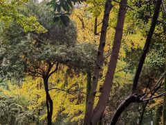 -龙头寺公园
