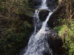-东白山