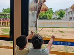 -西霞口神雕山野生动物世界