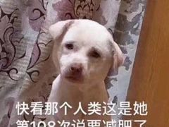 -老乡村(南湖路店)