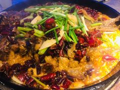 -老板恋上鱼(恒隆广场店)