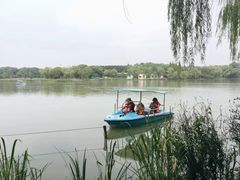 -昆山城市生态森林公园