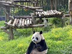 -上海野生动物园