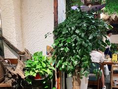 大堂-大理董·董家小厨野生菌火锅(古城旗舰店)