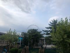 -大连森林动物园