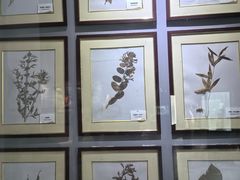 -房山世界地质公园博物馆