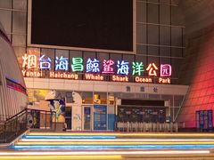 -烟台海昌鲸鲨海洋公园