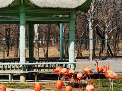 -秦皇岛野生动物园