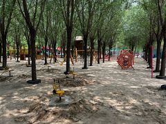 -西部长青自然儿童乐园