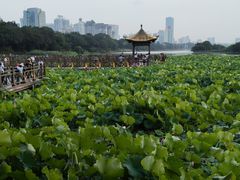 -南宁南湖公园