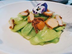 低温鲜鲍芥兰-松鹤楼·非遗·苏帮菜(融科店)