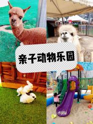 -萌宠亲子动物乐园(槐房万达店)