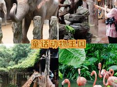 -长鹿旅游休博园