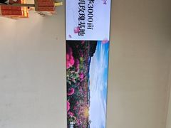 -嘉华鲜花饼(万达店)