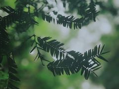 -安吉龙王山峡谷漂流