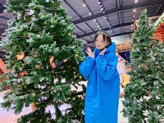 -宁波冰雪大世界(北仑区)