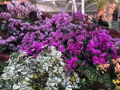 -北京植物园-展览温室
