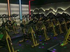 -金吉鸟健身游泳