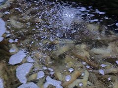 -聚盛源蒸汽海鲜火锅烤肉自助(巨川金海岸购物广场店)