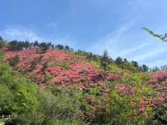 -木兰云雾山