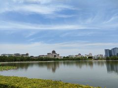 -莲花池公园