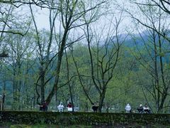 -寨沙侗寨(侗族歌堂)