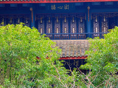 -桂湖森林公园