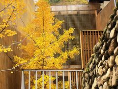 -少华山国家森林公园